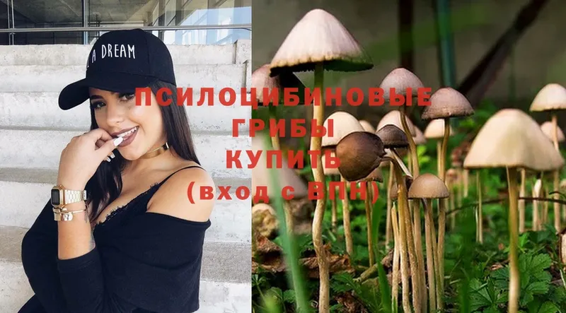 Псилоцибиновые грибы MAGIC MUSHROOMS  сайты даркнета официальный сайт  Кораблино  кракен  